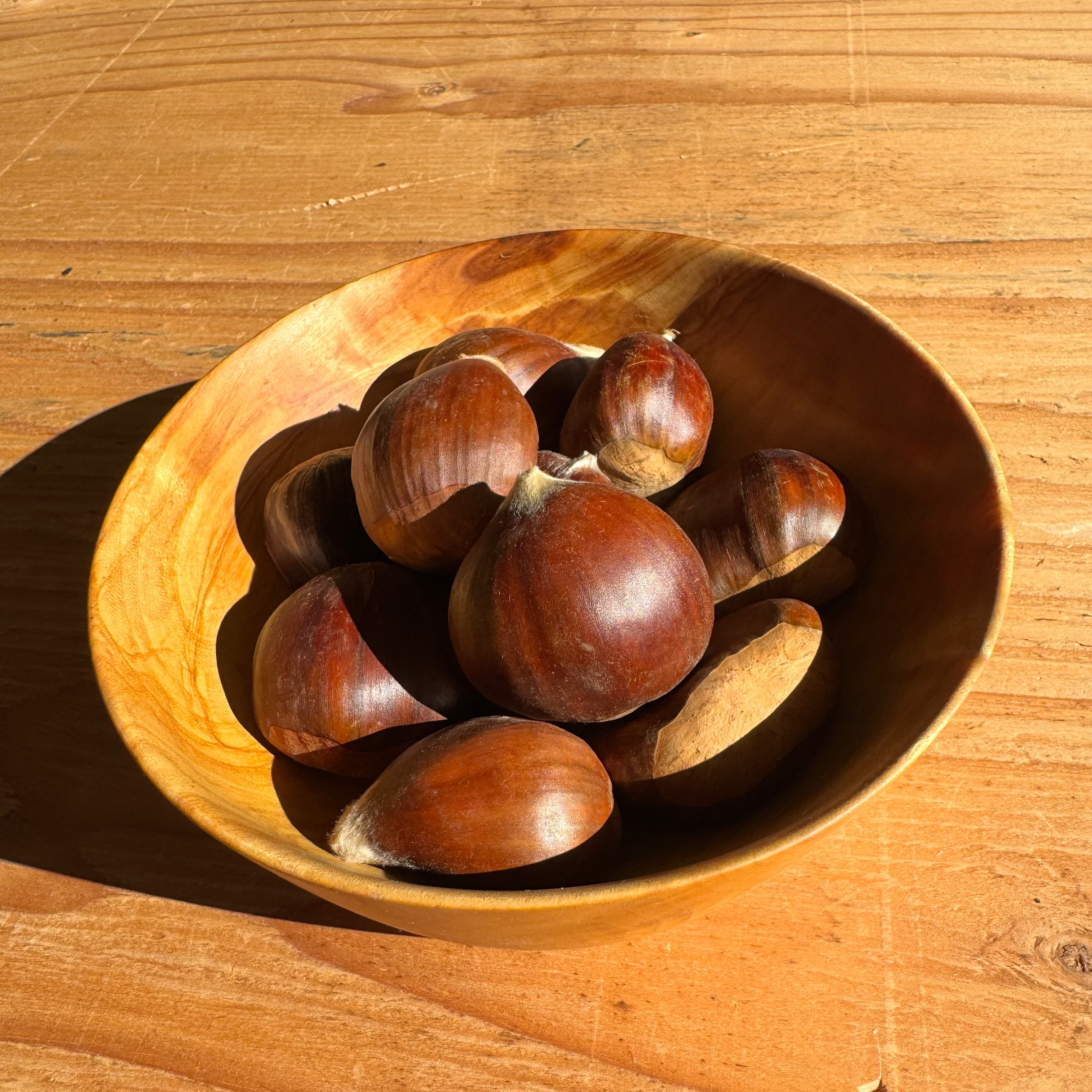 Jumbo Fresh Chestnuts (1½"+ diameter) $15/lb.