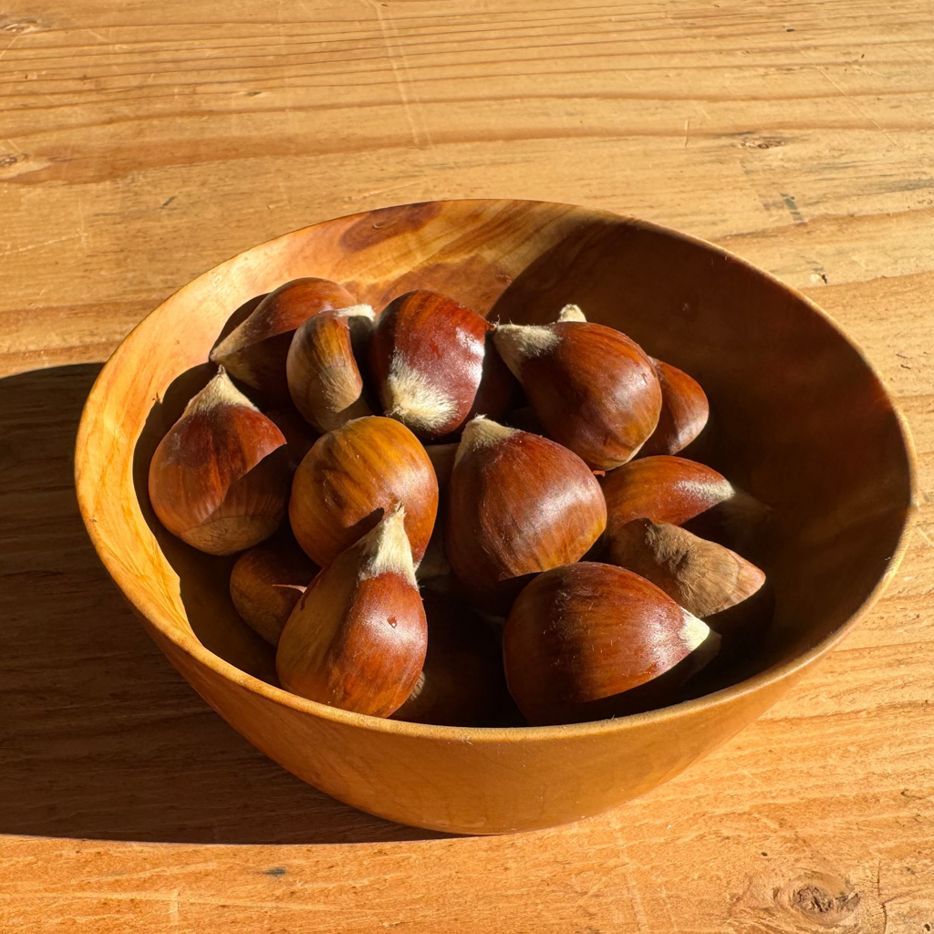 Medium Fresh Chestnuts (1"–1¼" diameter) $11/lb.