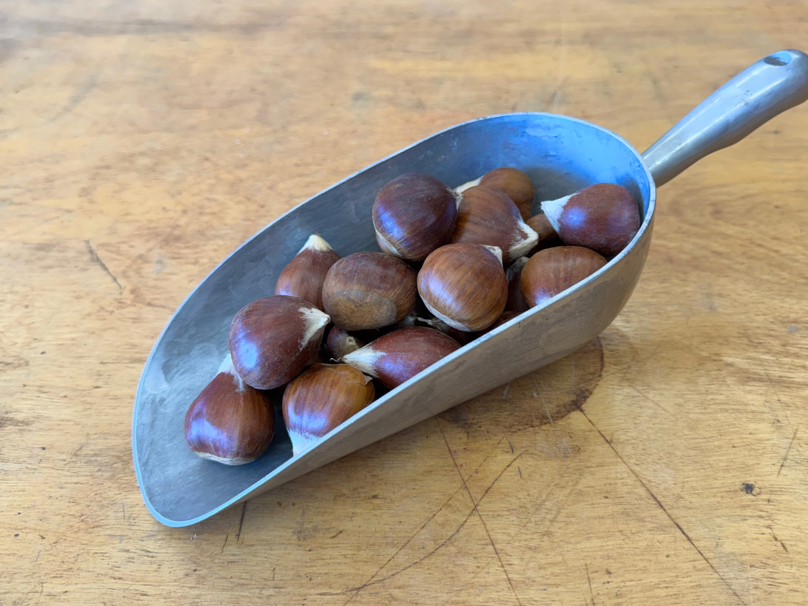 Medium Fresh Chestnuts (1"–1¼" diameter) $11/lb.