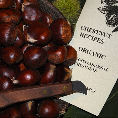 Fresh Chestnut Gift Package